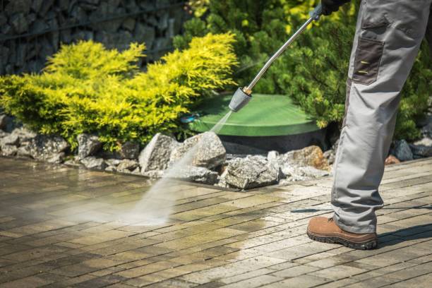 Best Pre-Holiday Cleaning  in Ashton, ID