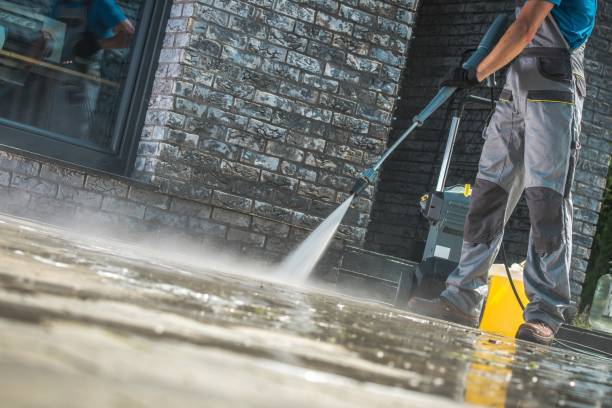 Best Pre-Holiday Cleaning  in Ashton, ID